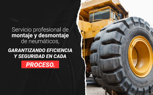 Servicio 1