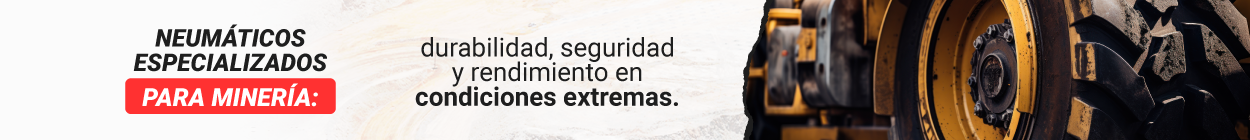 neumaticos especializados