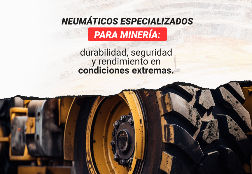 neumaticos especializados