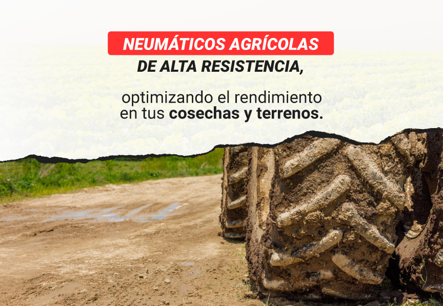 neumaticos agricolas