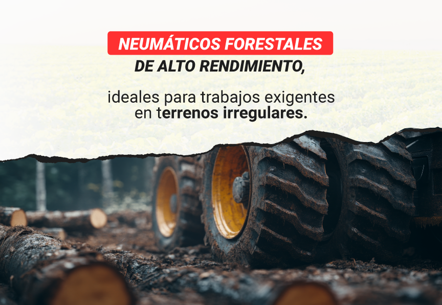 neumaticos forestales
