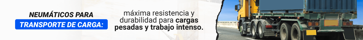 neumaticos para transporte de carga