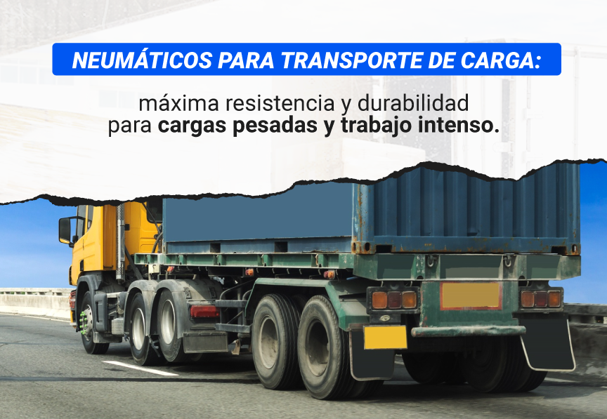 neumaticos para transporte de carga