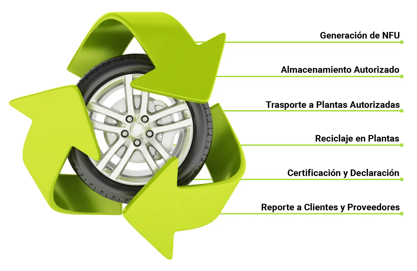 Infografía reciclaje
